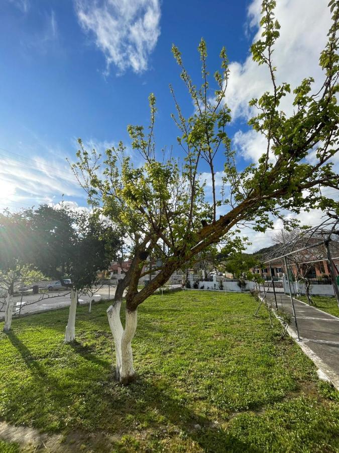 Aspasias Traditional Studio 佩罗德斯 外观 照片