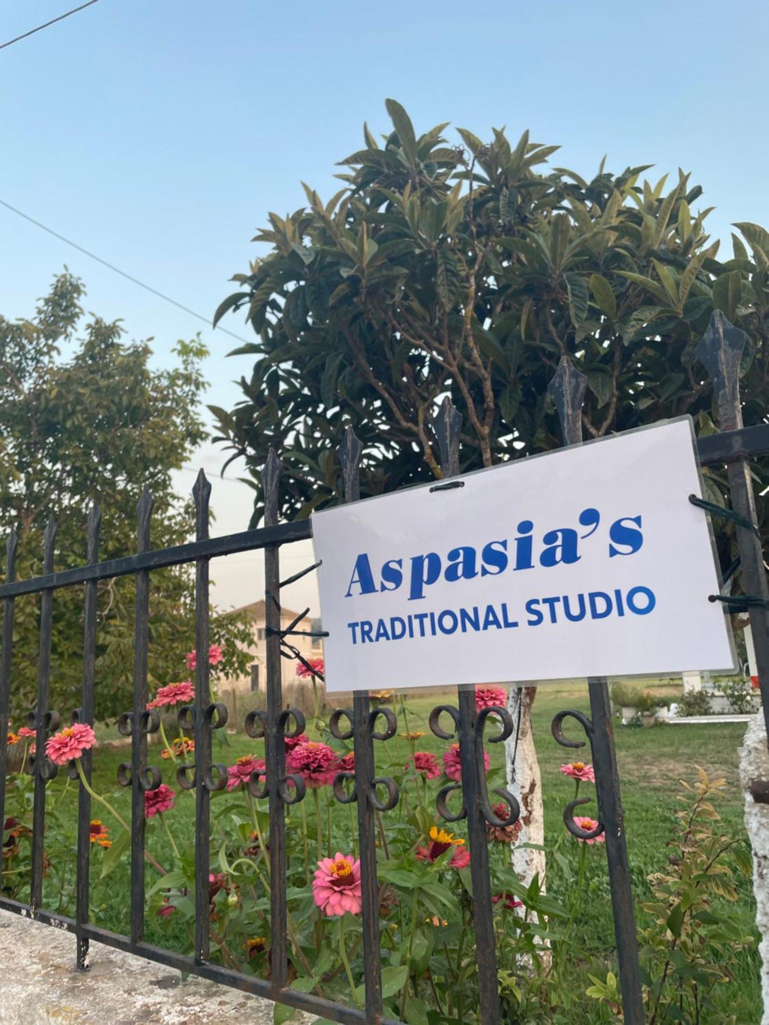 Aspasias Traditional Studio 佩罗德斯 外观 照片
